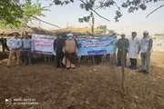 گزارش تصویری از اردوی جهادی دامپزشکی در روستاهای شهرستان بوشهر